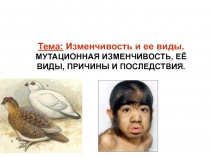 Презентация по биологии для 9-10 класса на тему Изменчивость и ее виды