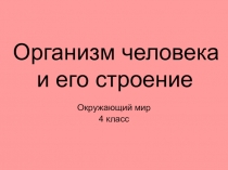 Организм человека и его строение