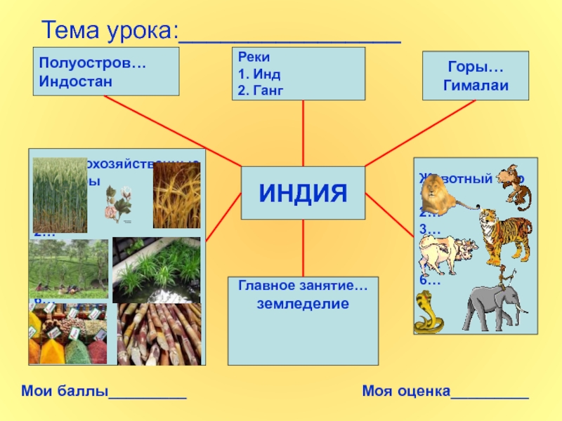 Природа индии презентация