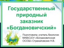 Презентация по биологии на тему Государственный природный заказник Богдановичский
