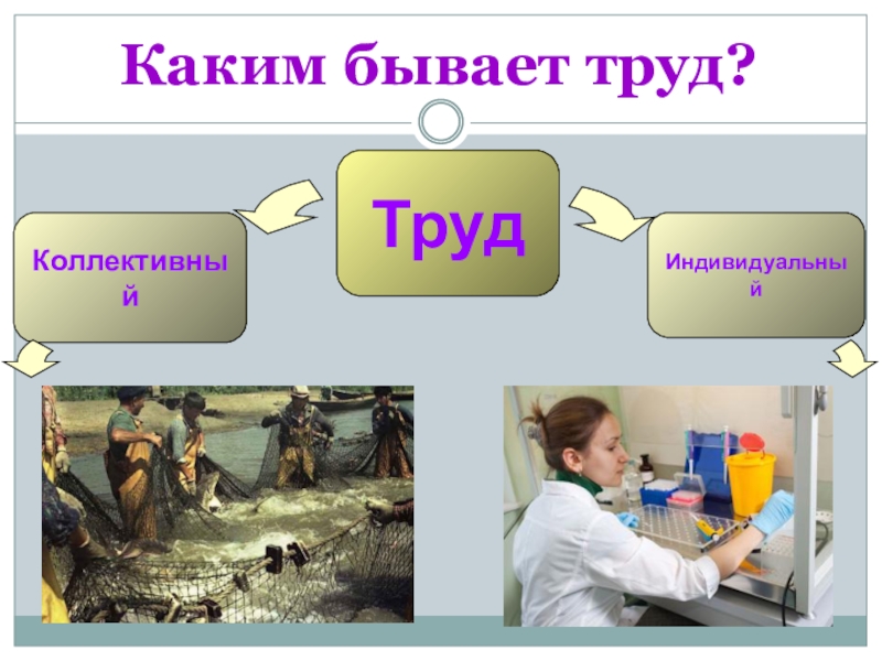 Каким бывает труд человека 6 класс. Какой бывает труд. Каким бывает труд человека. Труд бывает. Какти бывает труд человека.