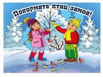 Презентация по экологическому воспитанию Покормите птиц зимой
