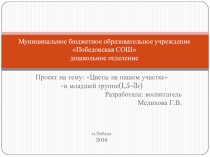 Презентация Цветы на нашем участке