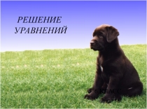 Презентация по математике на тему:Решение уравнений