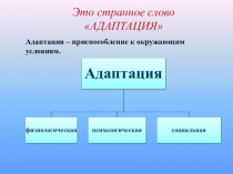 Выступление на педагогическом совете Адаптация пятиклассников