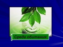 Урок окружающий мир Презентация СРЕДА ОБИТАНИЯ