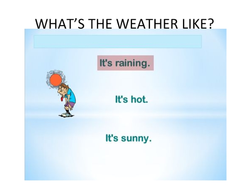 WHAT’S THE WEATHER LIKE?