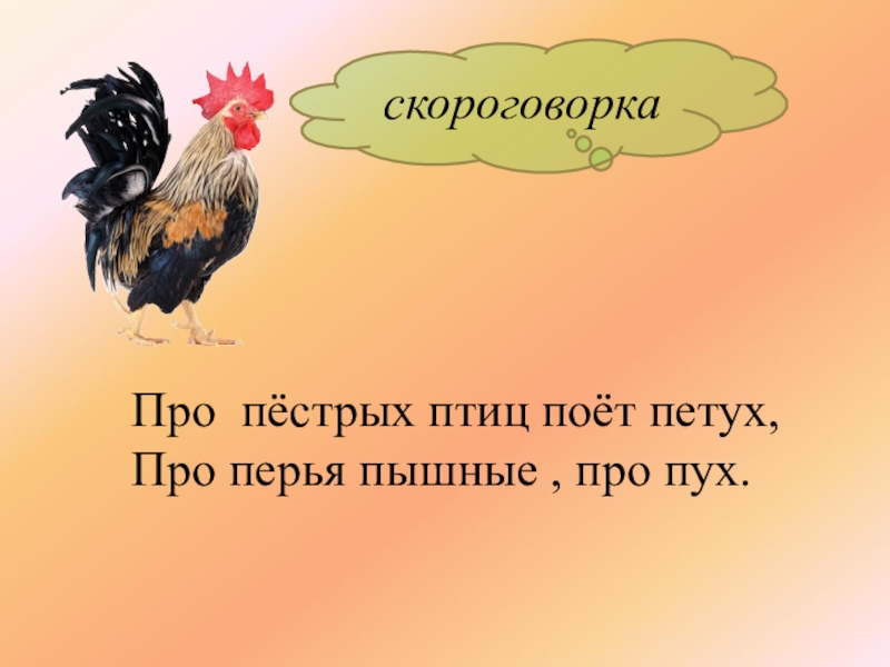 Скороговорка у 33 поросят. Скороговорка про петуха. Скороговорка про петуха для детей. Скороговорки про петушка для детей. Скороговорки про птиц.