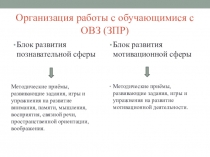 Организация работы с обучающимися с ОВЗ (ЗПР)