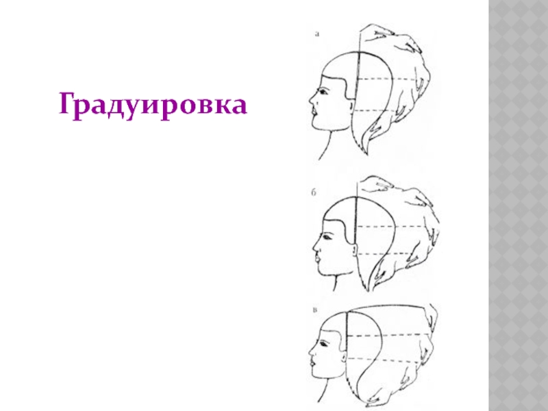 Метод градуировка. Внешняя градуировка схема. Внутренняя градуировка схема. Внутренняя градуировка волос схема. Внешняя градуировка волос.