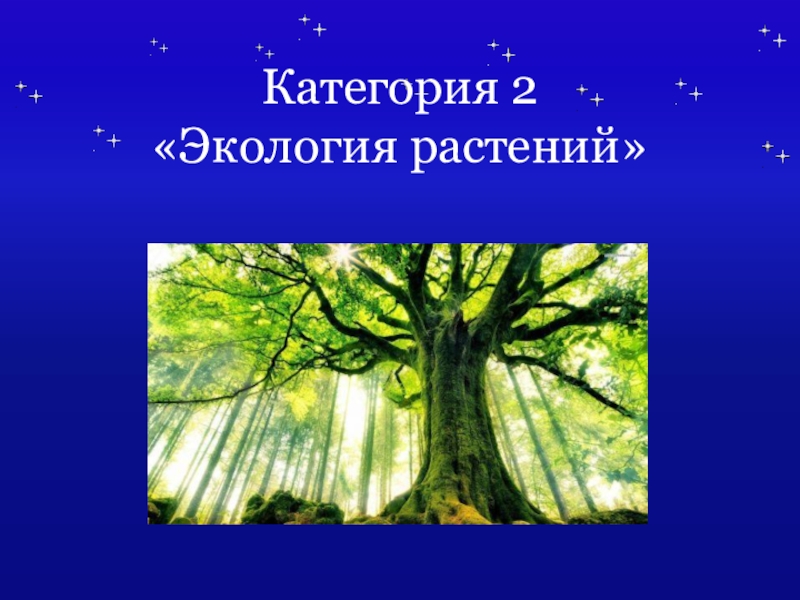 Презентация растения и человек. Экология растений презентация. Проект по экологии растения) 9 класс. СРС экология растений. Из окружающей среды растения растения получают.