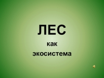 Виртуальная экскурсия ЛЕС как экосистема