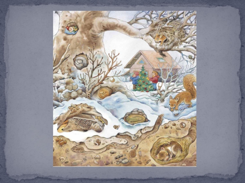 З живе. Кто живет под снегом. Кто живет под снегом рисуем. Мыши в живописи. Картина норка.