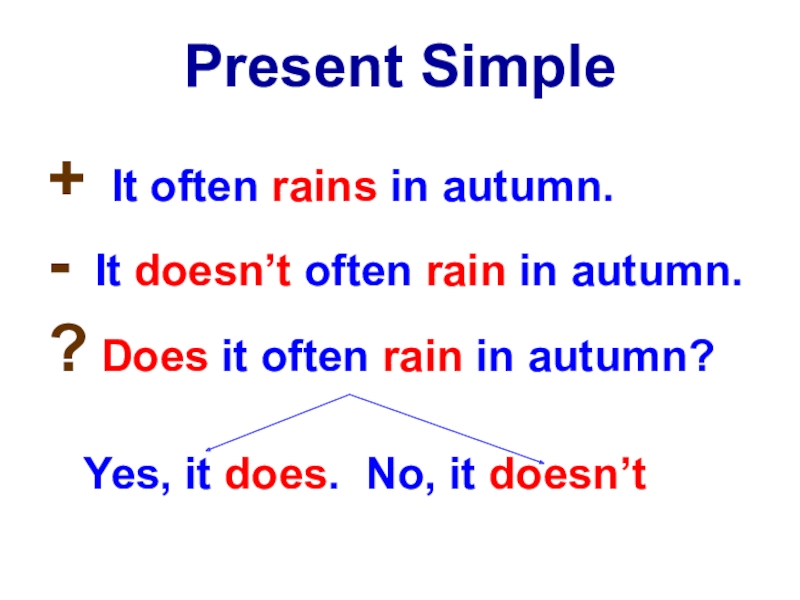 Present Simple+ It often rains in autumn.- It doesn’t often rain in autumn.? Does it often rain
