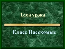 Презентация по биологии Насекомые