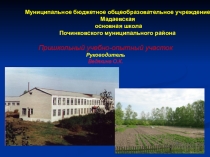Презентация Пришкольный участок МБ ОУ Мадаевской ОШ