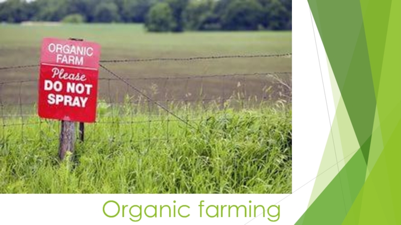 Презентация Презентация по английскому языку Organic farming