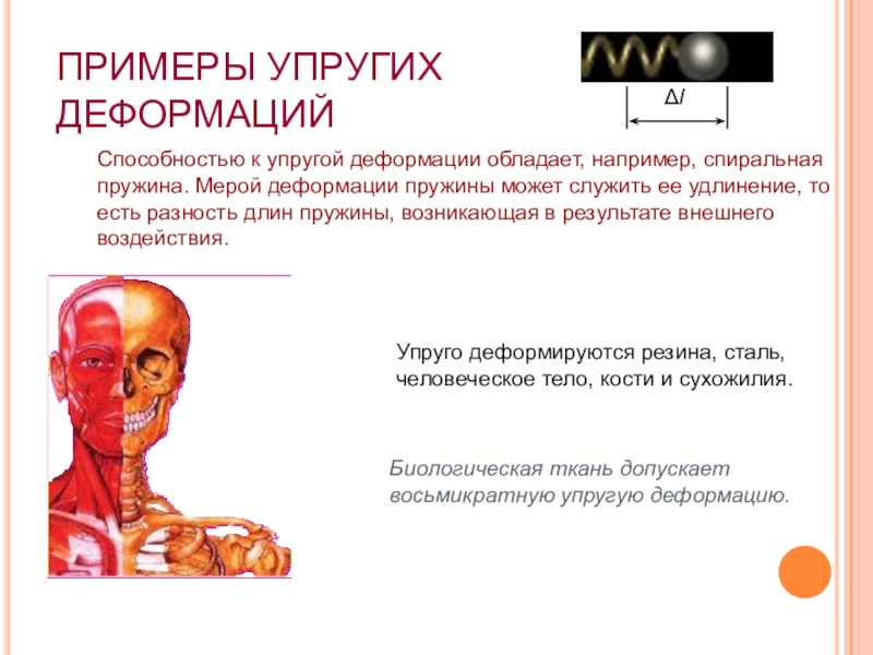 Деформированное тело. Упругая деформация примеры. Деформация упругости примеры. Неупругая деформация примеры. Примеры упругой и неупругой деформации.