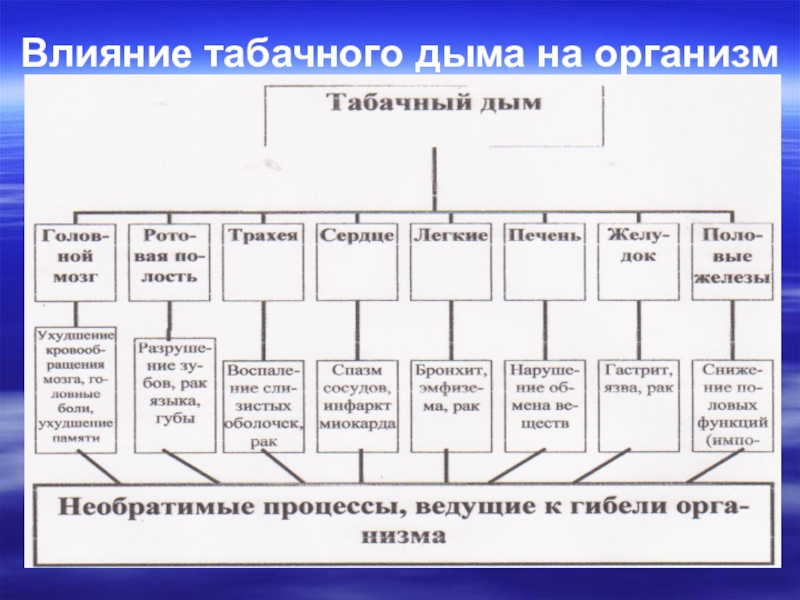 Влияние на компоненты. Влияние табачного дыма на организм. Схема влияния компонентов табачного дыма на организм. Влияние компонентов табачного дыма на организм человека. Воздействие компонентов табачного дыма на человека.