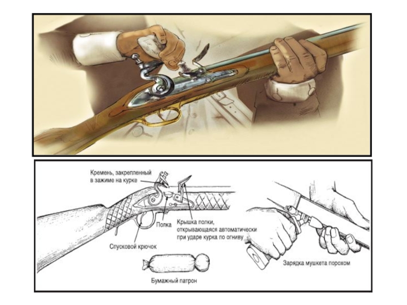 Чертежи фитильного мушкета