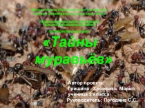 Презентация проекта Тайны муравьев (2 класс)