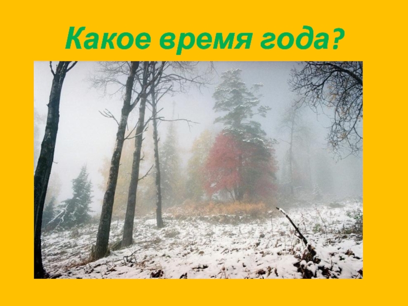 Какое время года?