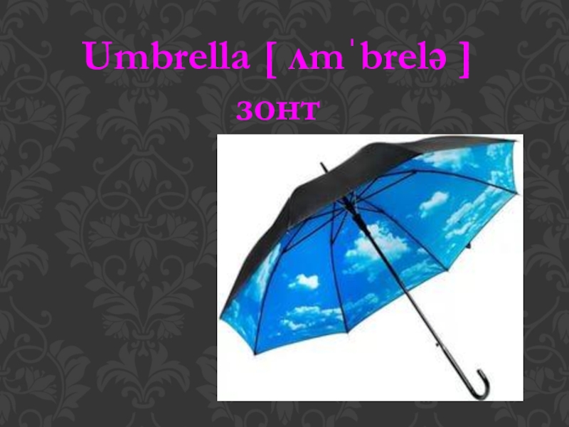 Umbrella [ ʌmˈbrelə ]зонт