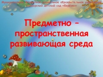 Презентация Предметно- развивающая среда в ДОУ