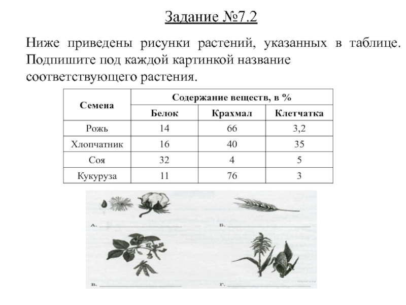 Подпиши под каждой картинкой название изображенного животного и заполни клетки таблицы ответы