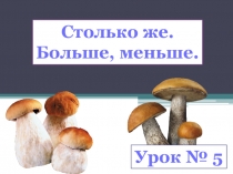 Презентация Столько же. Больше. Меньше