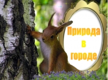 Презентация по окружающему миру на тему Природа в городе (1 класс)