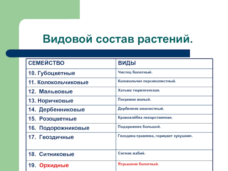 Проект видовой состав растений