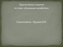 Презентация по внеклассной работе на тему  Домашнее хозяйство ( 4 класс)