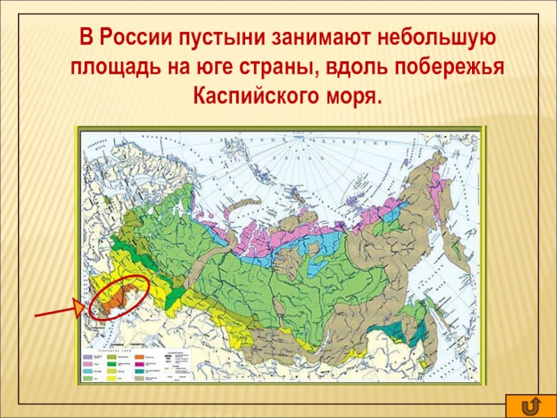 Русские степи карта