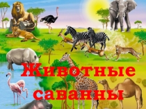 Презентация для детей старшей группы Животные Африки.Саванна
