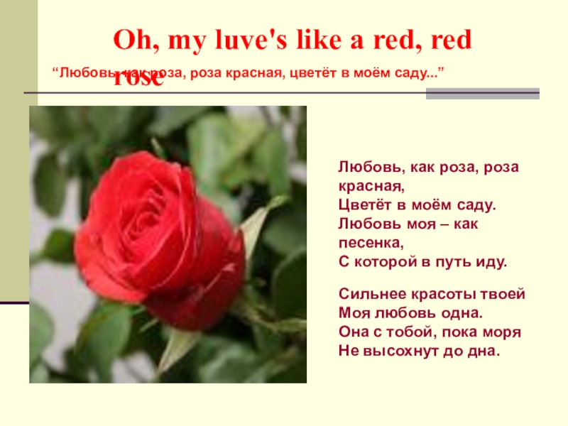 Стихотворение красный цвет