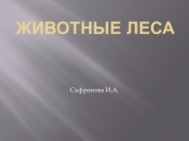 Презентация  Животные леса