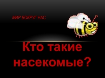 Презентация по окружающему миру на тему Кто такие насекомые? 1 класс