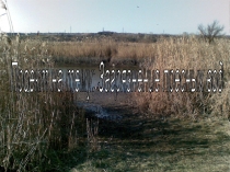 Презентация по биологии на тему Загрязнение пресной воды (11 класс)