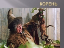 Презентация по биологии на тему Корень