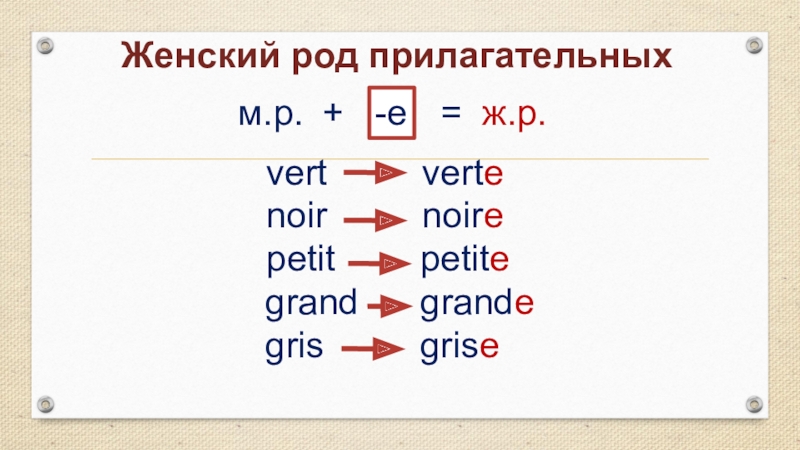 Женский род. Gris в женском роде. Os temporale род прилагательного. Him в женском роде. Образуйте женский род для прилагательных Noir, jeune, petit.