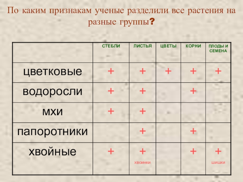 Признаки ученого. По каким признакам ученые разделили все растения на разные группы. На какие группы учёные делят все растения. По каким признакам можно разделить на группы.