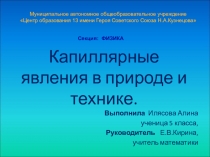 Презентация Капиллярные явления в природе и технике