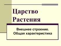 Презентация к уроку по ботанике Царство Растения. Общая характеристика к программе Пономаревой