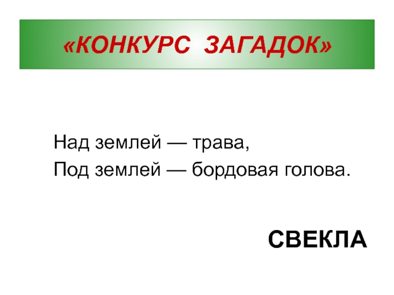 Конкурс загадок. Свекла под землей или над землей.