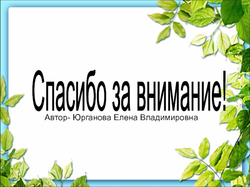 Внимание автор. Юрганова Елена Владимировна. Юрганова Елена Владимировна МИД. Спасибо за внимание Елена Владимировна. Юрганова Елена Юрьевна.