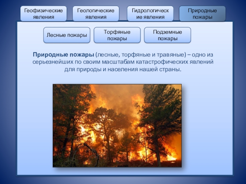 Характеристика лесных пожаров обж. Характеристика природных пожаров. Природные пожары подразделяются на. Природные явления пожар. Природные ЧС природные пожары.