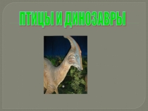 ОМ ПТИЦЫ И ДИНОЗАВРЫ