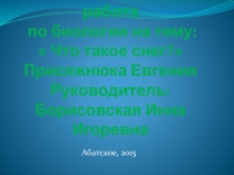 Презентация исследовательской работы Что такое снег?