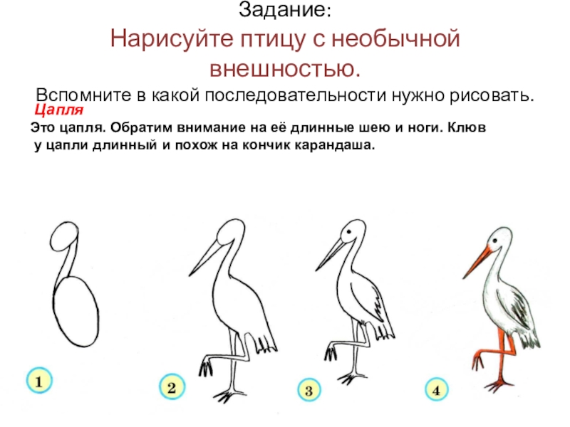 Урок изо 2 класс пропорции выражают характер с презентацией